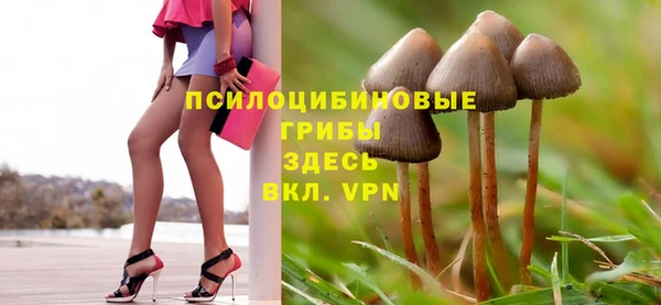 крисы Абинск