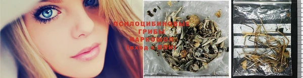 индика Абдулино
