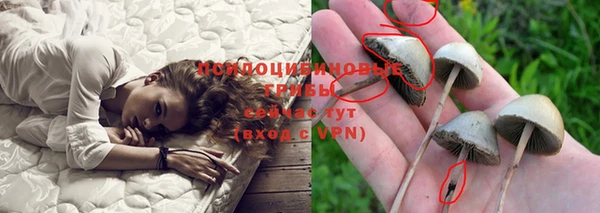 дурь Алексин